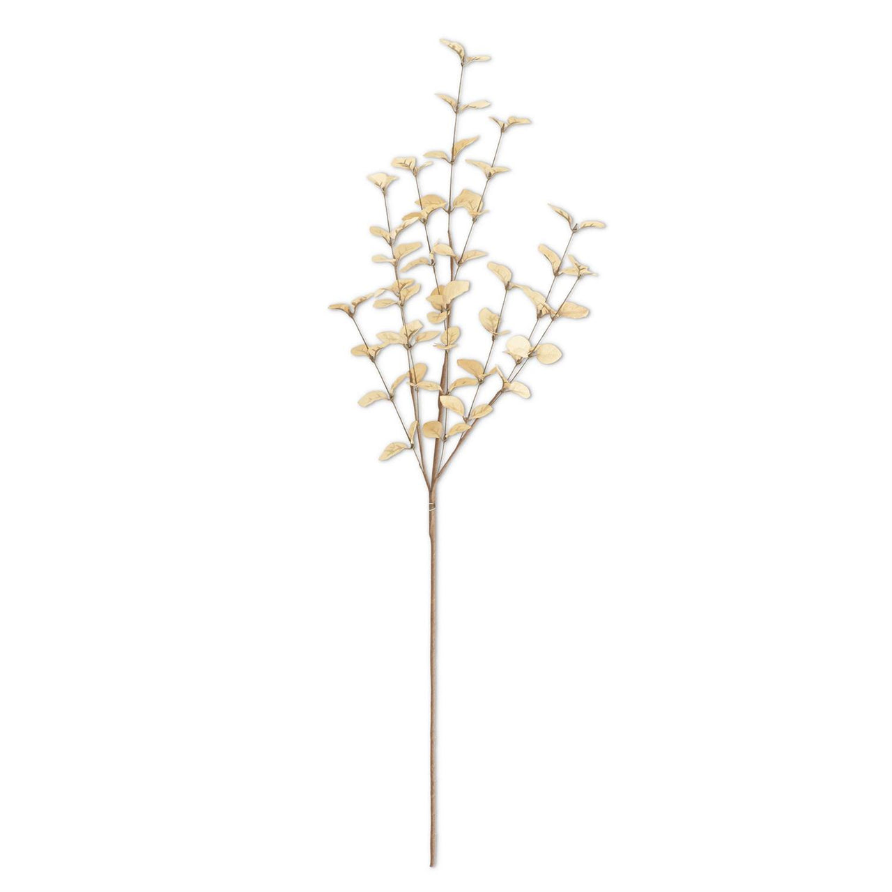 Beige Eucalyptus Stem 34"  K&K   