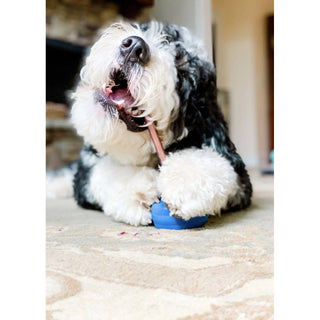 Classic Large dog chew toy with a blue rubber ball