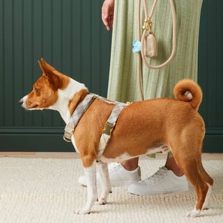 Andover Plaid Flannel Harness The Foggy Dog