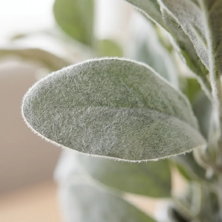 Lambs Ear Stem 20in artificial foliage with fuzzy gray-green leaves