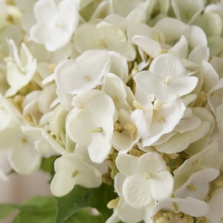 12 Inch Real Touch Hydrangea Bundle, 4 stems, white blossoms