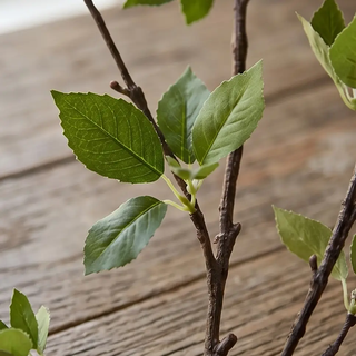 Green Leaf Branch, artificial non-flowering plant with green leaves on brown stems.