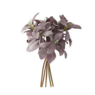 Purple lambs ear stems, 10.5 inches long, bundle of 5 stems