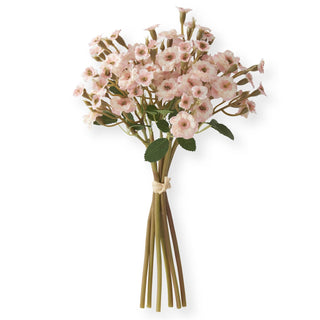 Primrose Bundle (6 Stems) 11" K&K Pink