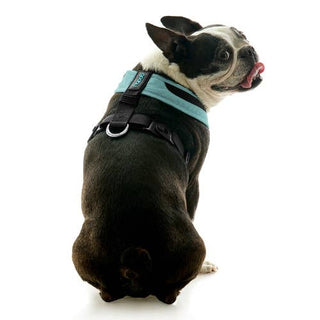 #04231 - Escape Free Comfort X One Harness Gooby