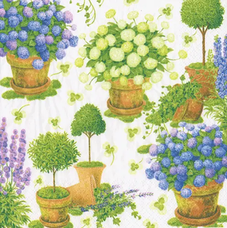 Cocktail napkins with potted hydrangeas in terracotta pots, blue and green blooms on light background
