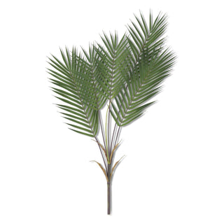 5 Palm Branch  K&K   
