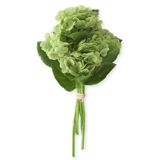 Hydrangea bundle with light green blooms, six stems bound with twine.