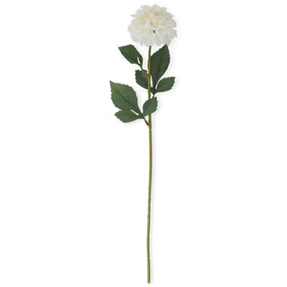 Dahlia Stem K&K Cream