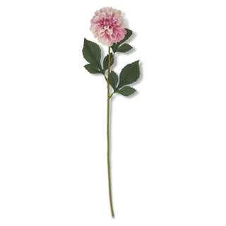 Dahlia Stem K&K Pink
