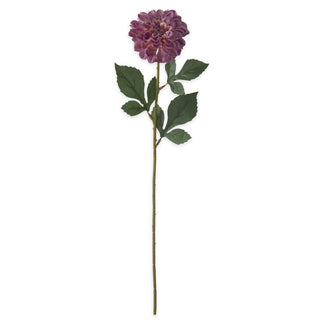 Dahlia Stem K&K Purple