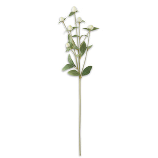 Thistle Spray K&K White