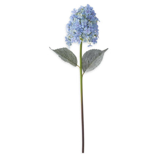 Cone Hydrangea Stem K&K Blue