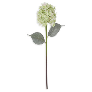 Cone Hydrangea Stem K&K Green
