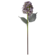 Cone Hydrangea Stem K&K Purple