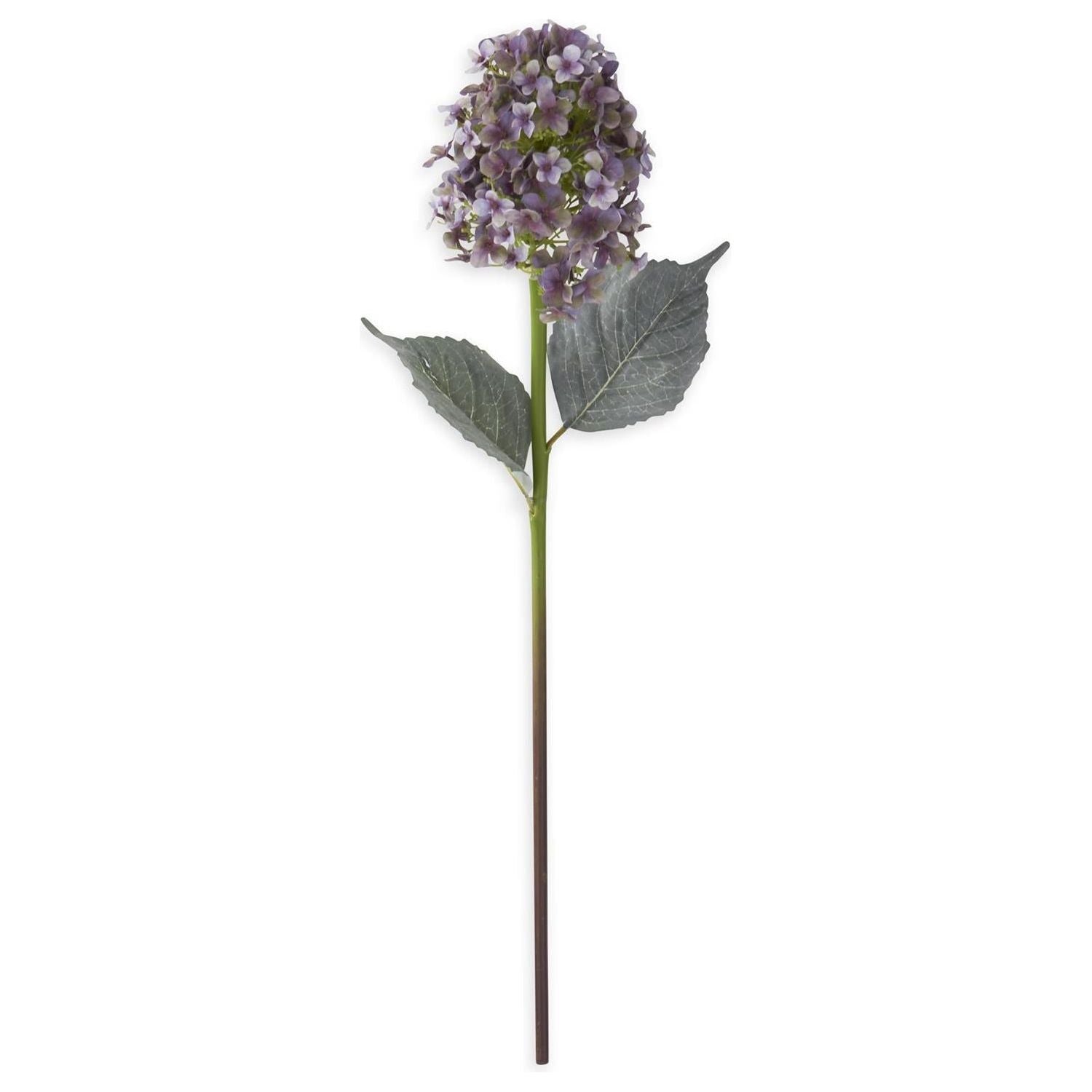 Cone Hydrangea Stem K&K Purple