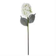 Cone Hydrangea Stem K&K White