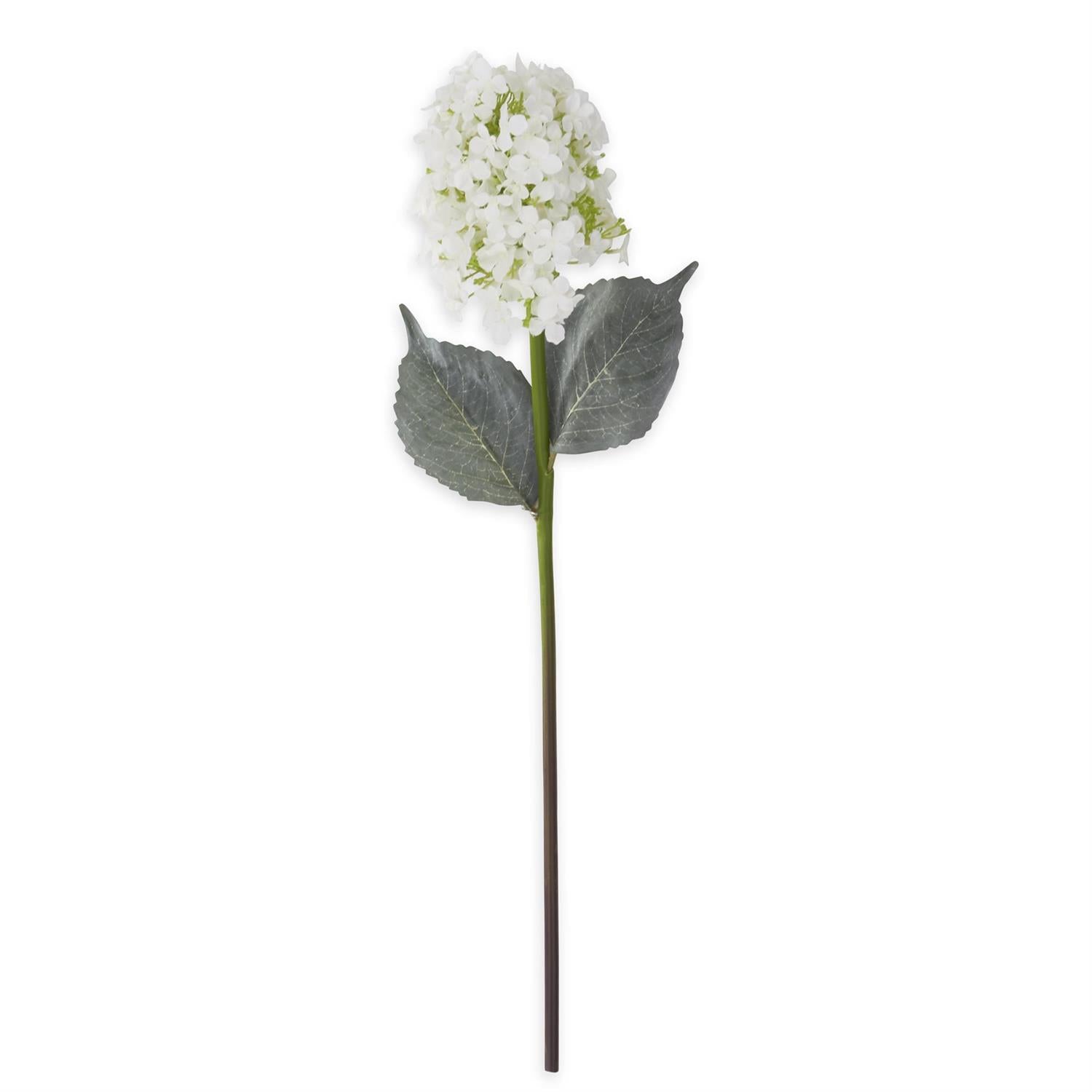 Cone Hydrangea Stem K&K White