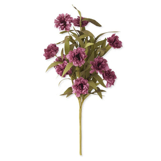 Oriental Poppy Bush w/Eva Foliage K&K Purple