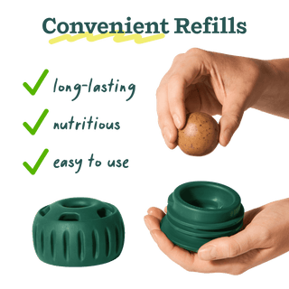 Calming Wellness Pops Woof; 2 green round components with a hand holding a speckled egg