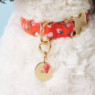 Strawberry Spring Collar Charm The Foggy Dog