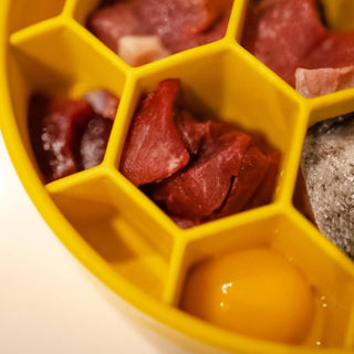 Yellow honeycomb-design eBowl dog slow feeder bowl with meat chunks and an egg