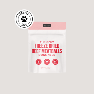 The Only Freeze Dried Beef Meatballs Dogs Need Natural Rapport Sample Bag - Approx. 1 oz
