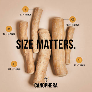 Dog chew sticks made of coffee wood; six natural sticks in XS–XL sizes.