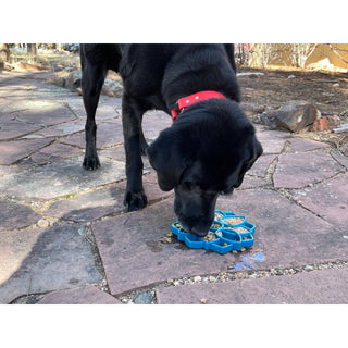 Mandala Design eTray Enrichment Tray for Dogs Dapper SodaPup Dog Toys