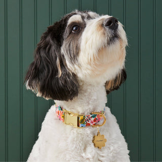 Garden Party Dog Collar with floral pattern, gold buckle, and flower-shaped tag