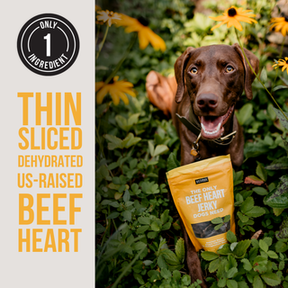 The Only Dehydrated Beef Heart Jerky Dogs Need Natural Rapport