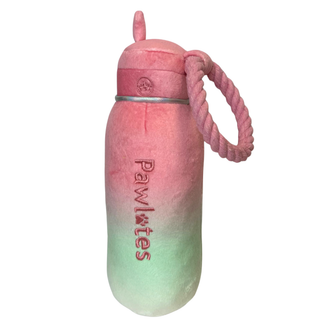 Pawlates Princess Water Bottle with pink-to-green gradient and braided pink rope handle