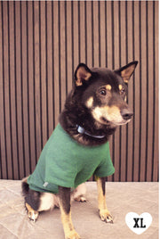 LITTLE BEACH BUM Pet Graphic Sweatshirt. OAT COLLECTIVE
