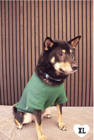 LITTLE BEACH BUM Pet Graphic Sweatshirt. OAT COLLECTIVE