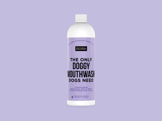 The Only Doggy Mouthwash Dogs Need Natural Rapport 16 ounce
