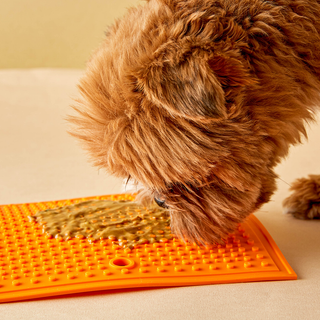 Square silicone lick pad for dogs, orange with textured nubs.
