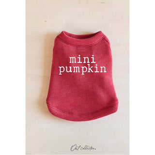 MINI PUMPKIN pet graphic sweatshirt in red, pet sweater