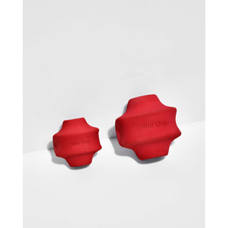 Twist Toss Treat Dispensing Dog Toy Wild One