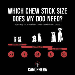 Dog chew Dapper red deer antler splits for dogs, natural and durable.