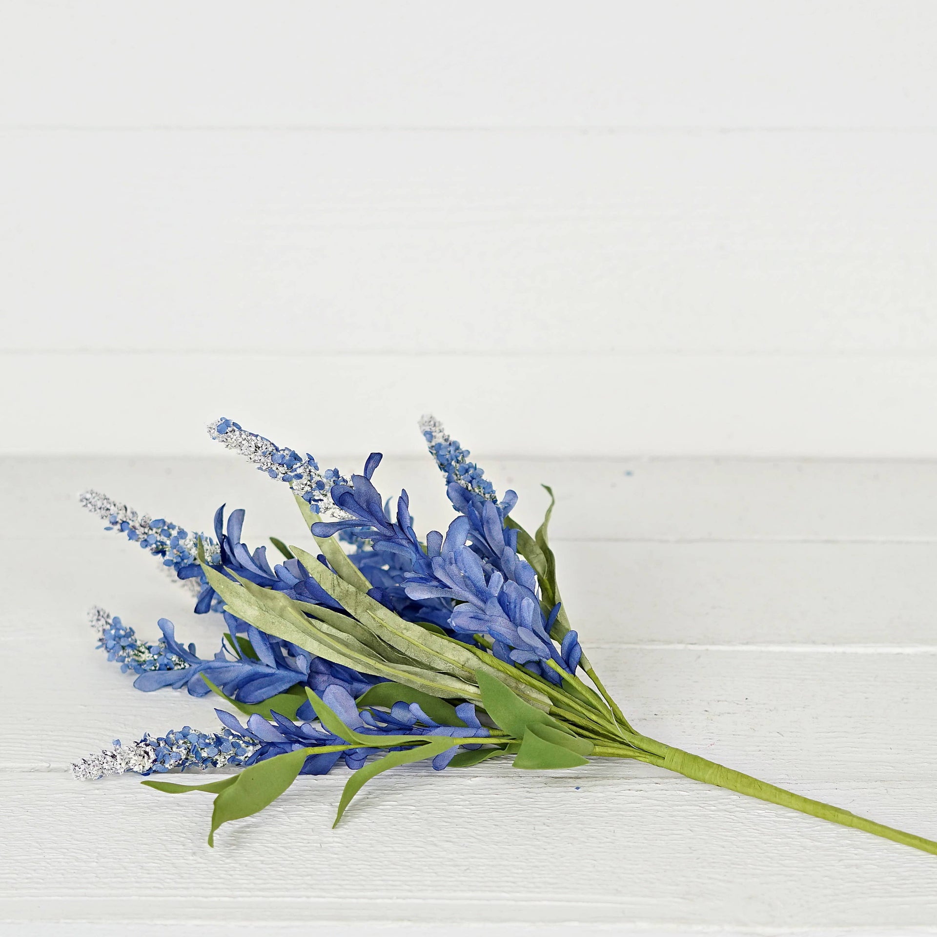 Blue Bonnet Flower with Heather Bush Impressive Enterprises, Inc.
