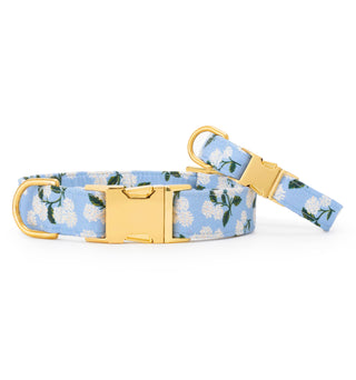 Rifle Paper Co. x TFD Hydrangea Spring Dog Collar The Foggy Dog