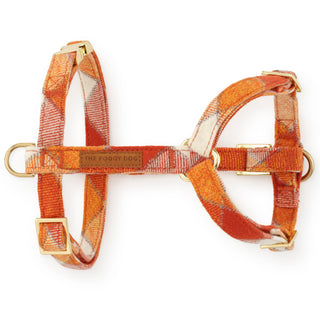 Pumpkin Spice Flannel Harness The Foggy Dog