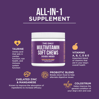The Only Multivitamin Soft Chews Dogs Need Natural Rapport
