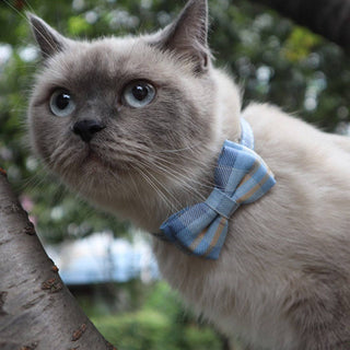 Mokka - British Plaid Bowtie Cat Collar Cheerhunting