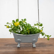 Mini Gray Bathtub Soap Dish  Foreside Home & Garden   