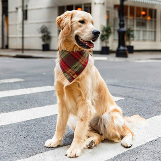 Orchard Plaid Flannel Dog Bandana The Foggy Dog