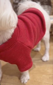 LITTLE BEACH BUM Pet Graphic Sweatshirt. OAT COLLECTIVE