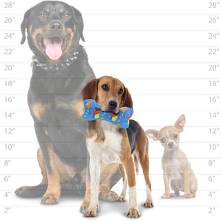 Mighty Bone medium celebration squeaky dog toy, blue with colorful print, no stuffing, shown with two other dogs