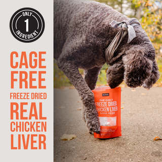The Only Freeze Dried Chicken Liver Dogs Need Natural Rapport