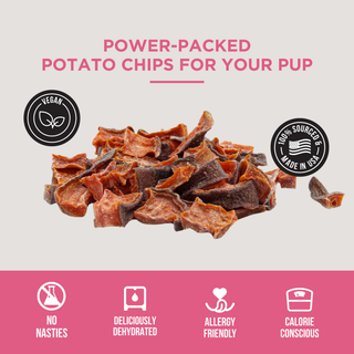 Dehydrated sweet potato bites for dogs; crunchy orange-brown pieces, vegan and USA-made dog treats for picky pups
